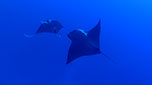 Bild 022
