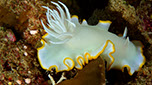 Bild 010