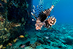 Bild 025