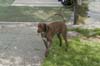 Bild 002