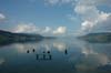 Bild 001