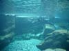 Bild 010