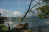 Bild 012