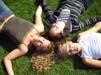 Bild 012