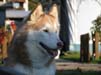 Bild 115