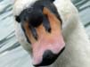 Bild 004