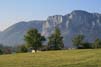 Bild 031