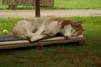 Bild 030