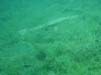 Bild 039