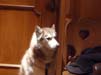 Bild 099