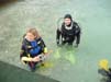 Bild 119