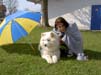 Bild 025