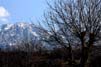 Bild 104