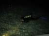 Bild 076
