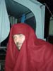 Bild 136
