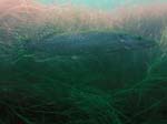 Bild 012