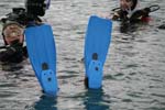 Bild 020