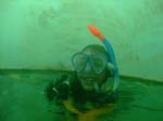 Bild 108