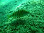 Bild 016